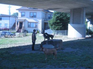 IMG_0214