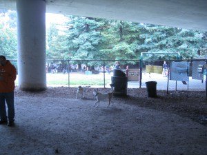 IMG_0235