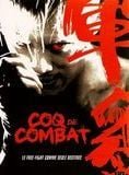 Coq de combat