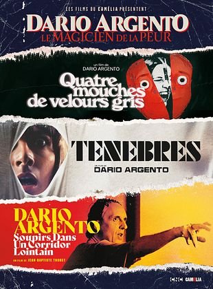 Quatre mouches de velours gris